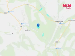 Prodej lesa, Bílá, 22447 m2