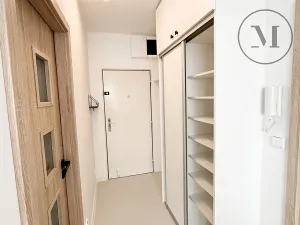 Pronájem bytu 1+1, České Budějovice, Puklicova, 41 m2