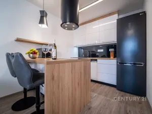 Prodej bytu 2+kk, České Budějovice - České Budějovice 2, Volejbalistů, 54 m2