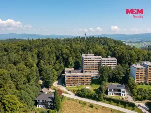 Prodej bytu 1+1, Příbram - Příbram II, Dlouhá, 31 m2