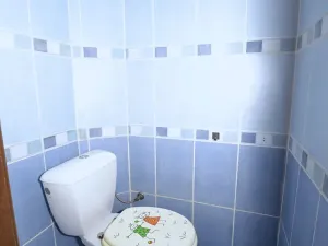 Pronájem bytu 2+kk, Plzeň, Husova, 56 m2