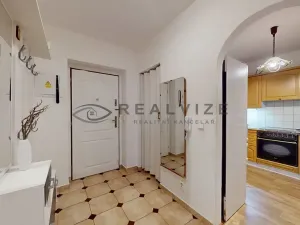 Prodej bytu 2+1, České Budějovice, Holečkova, 52 m2