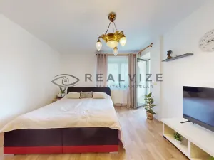 Prodej bytu 2+1, České Budějovice, Holečkova, 52 m2