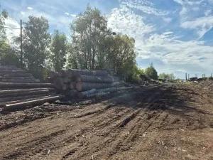 Prodej výrobních prostor, Velká Hleďsebe, K Malé Hleďsebi, 28305 m2
