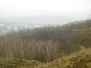 Dražba pozemku, Trmice, 3051 m2