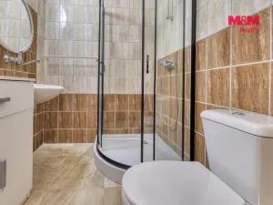 Prodej zemědělské usedlosti, Horažďovice, Prácheňská, 260 m2