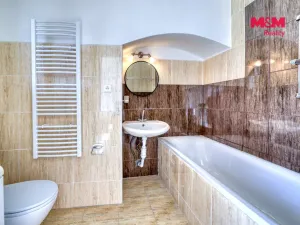 Prodej zemědělské usedlosti, Horažďovice, Prácheňská, 260 m2