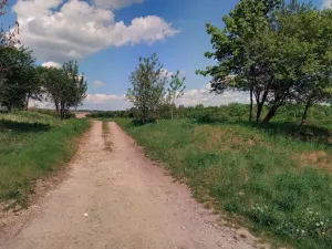 Prodej komerčního pozemku, Milovice, 3067 m2