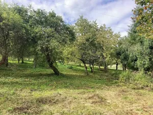 Prodej pozemku pro bydlení, Plavy, 1132 m2