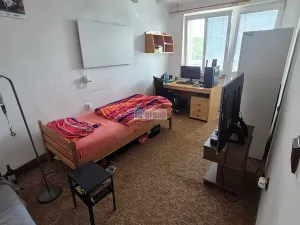 Prodej bytu 3+1, Nová Ves pod Pleší, 77 m2