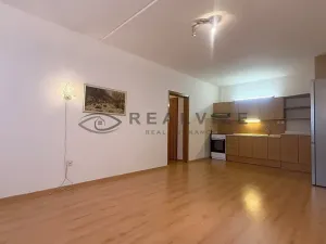 Prodej bytu 3+kk, České Budějovice, Krčínova, 59 m2