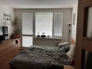 Prodej bytu 3+1, Praha - Kobylisy, Paláskova, 73 m2