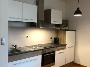 Pronájem bytu 1+kk, Karlovy Vary, Mattoniho nábřeží, 47 m2