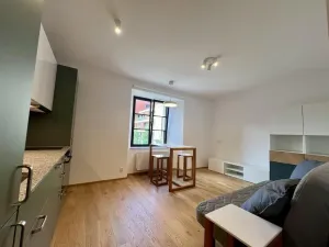 Pronájem bytu 1+kk, Praha - Nusle, Vrtbova, 27 m2