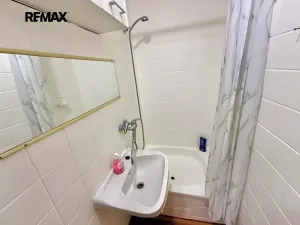 Prodej bytu 1+kk, Praha - Záběhlice, Hvozdíková, 24 m2