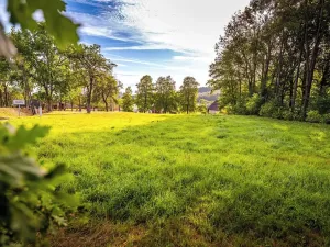 Prodej pozemku pro bydlení, Čestice, 4931 m2