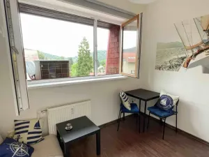 Prodej bytu 1+kk, Slapy, 17 m2
