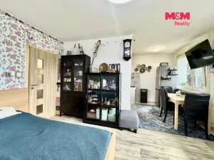 Prodej bytu 1+kk, Most, Brněnská, 34 m2