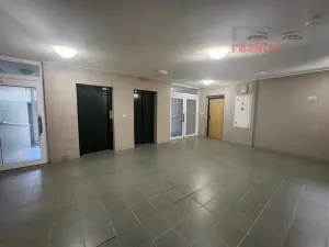 Prodej bytu 3+kk, Brno, Majdalenky, 84 m2