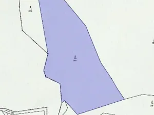 Prodej lesa, Slavíkov, 8906 m2
