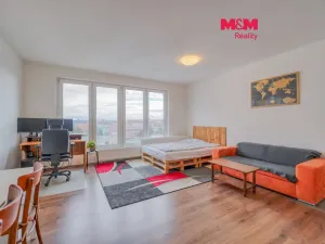 Prodej bytu 1+kk, Plzeň - Jižní Předměstí, Stehlíkova, 39 m2