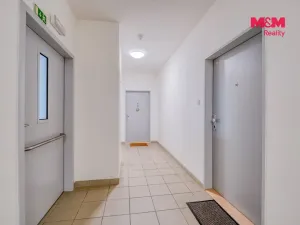 Prodej bytu 1+kk, Plzeň - Jižní Předměstí, Stehlíkova, 39 m2