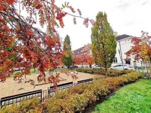 Pronájem bytu 2+kk, Praha - Dejvice, Na Hanspaulce, 36 m2