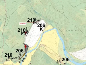 Dražba lesa, Oslavany, 80 m2