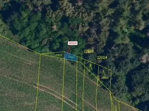 Dražba lesa, Oslavany, 26 m2