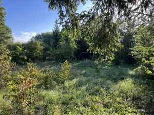 Prodej pozemku, Kopidlno - Mlýnec, 839 m2