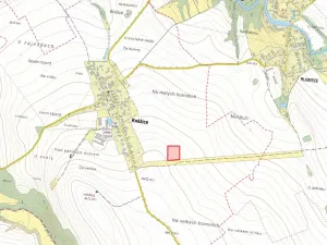 Prodej pole, Kněžice, 10659 m2