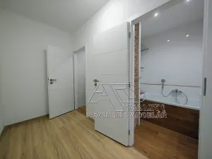 Pronájem bytu 1+1, České Budějovice, Budivojova, 49 m2