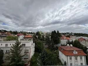 Prodej bytu 3+kk, Praha - Podolí, Levá, 137 m2