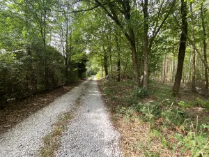Prodej pozemku, Nová Ves pod Pleší, Ke Kapli, 1605 m2