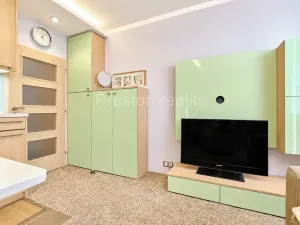 Prodej bytu 1+kk, Písek, 17. listopadu, 19 m2
