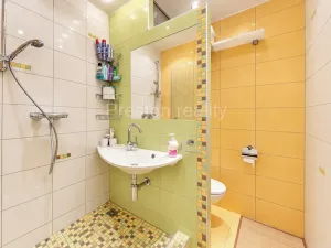 Prodej bytu 1+kk, Písek, 17. listopadu, 19 m2