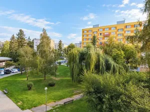 Prodej bytu 1+kk, Písek, 17. listopadu, 19 m2