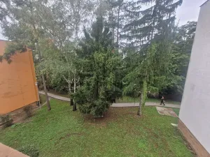 Pronájem bytu 2+1, Brno, Záhřebská, 55 m2