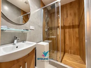 Pronájem bytu 2+kk, Ústí nad Labem, Anežky České, 49 m2