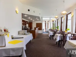 Prodej ubytování, Luhačovice, Masarykova, 420 m2