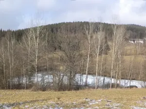 Dražba louky, Kájov, 10344 m2