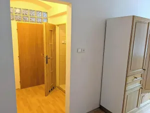 Pronájem bytu 1+1, Opava, Těšínská, 50 m2