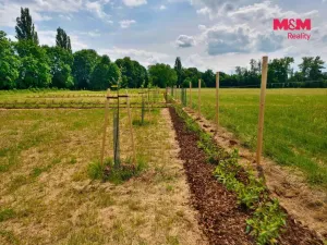 Prodej zahrady, Hradec Králové - Pražské Předměstí, 500 m2