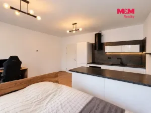 Prodej bytu 1+kk, Ostrava - Slezská Ostrava, Na Baranovci, 36 m2