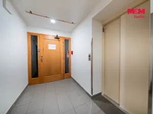 Prodej bytu 1+kk, Ostružná - Ramzová, 30 m2