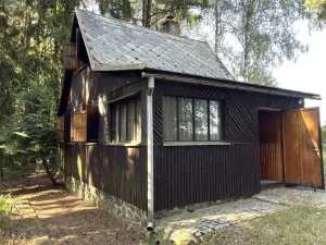 Prodej ostatní, Borová
