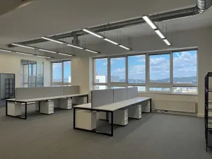 Pronájem kanceláře, Praha - Holešovice, Jankovcova, 313 m2