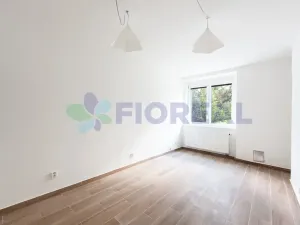 Pronájem bytu 2+1, Praha - Nusle, Nad Jezerkou, 50 m2