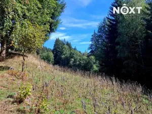 Prodej pozemku pro bydlení, Pec pod Sněžkou, 4273 m2