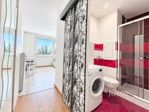 Prodej bytu 1+kk, Ústí nad Labem, SNP, 20 m2